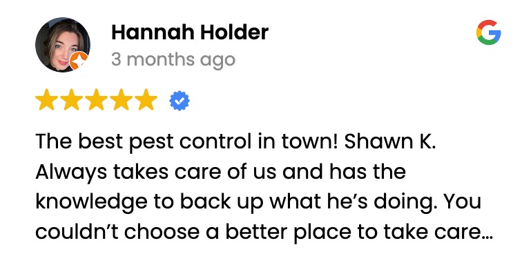 austin pest removal review